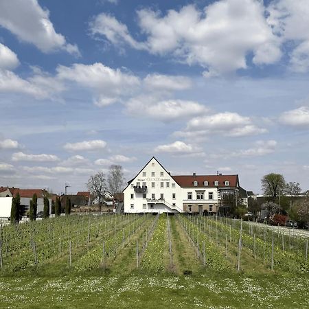 Weinzeit13 Apartment นอยชตัดท์ อัน แดร์ ไวน์ชตราเซอ ภายนอก รูปภาพ