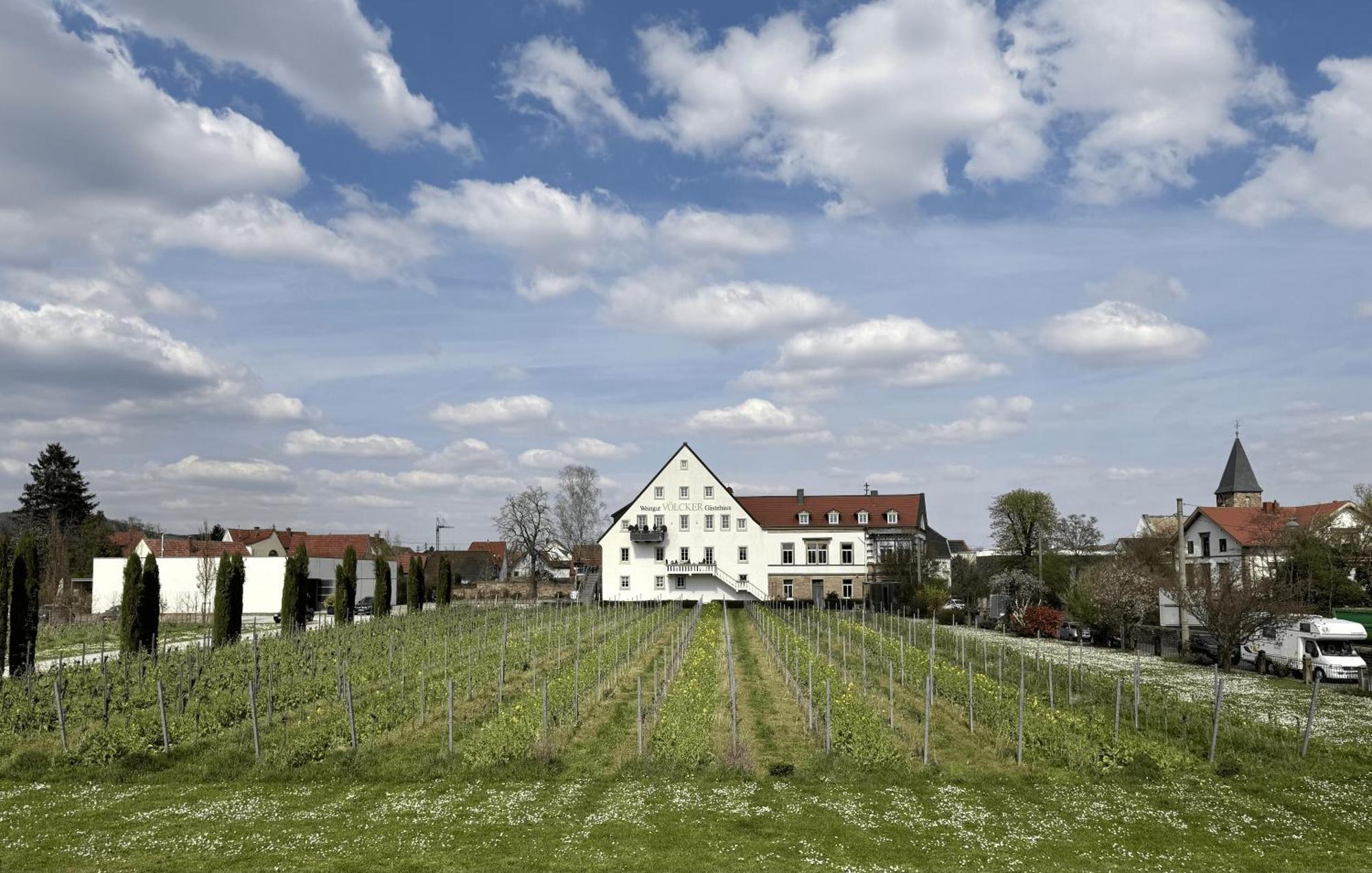 Weinzeit13 Apartment นอยชตัดท์ อัน แดร์ ไวน์ชตราเซอ ภายนอก รูปภาพ